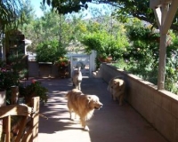 A nice place for some shade