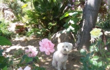 Rosie Being Lady-Like as Always