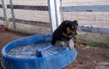 A dip in the pool