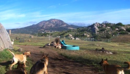 The newly fenced Dog Park area. Guests LOVE it!